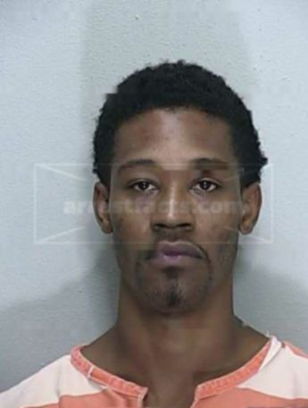 Virgil L Robinson
