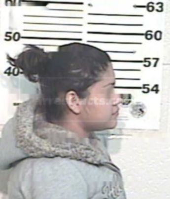 Maria Isabel Bravo