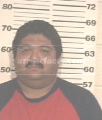 Leonel Ibarra Roa
