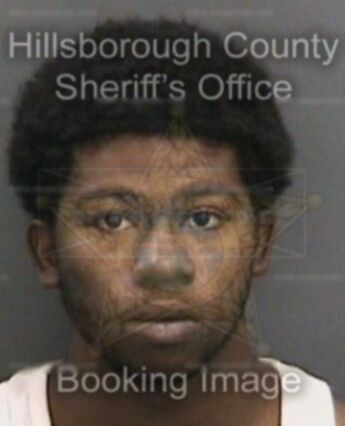 Delwan J Belmont