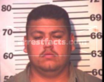 Steve Ivan Flores Lerma