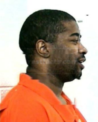 Harold Davis