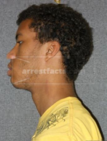 Troy J Paynes