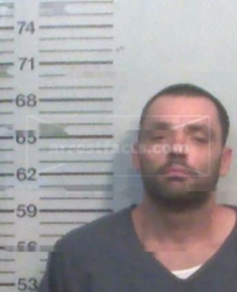 Steven M J Atwell
