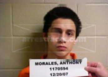 Anthony M Morales