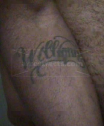 Ronnie A Williamson