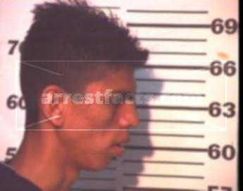 Domingo Jr. Garcia Martinez