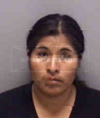 Metria Gonzales Gonzales