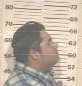 Ricardo Alanis Mendoza