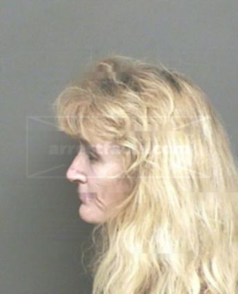 Robin Michelle Stenstrom