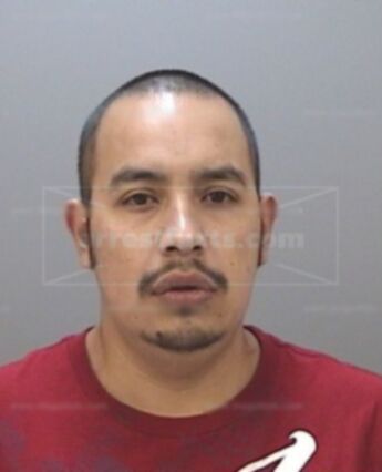 Luis Fernando Ramirez-Gonzalez