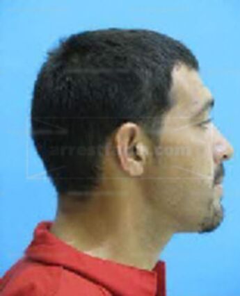Martin Louis Malone