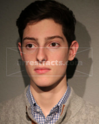 Brandon S Levy