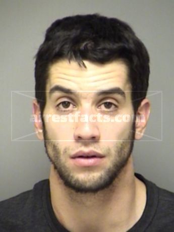 Cono Dominick Delio