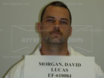 David Lucas Morgan