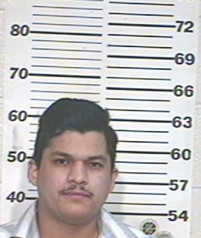 Rodolfo Sanchez Jimenez