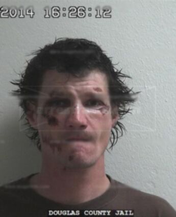 Jamie Lee Freeman