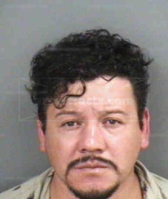 Gerardo G Sanchez