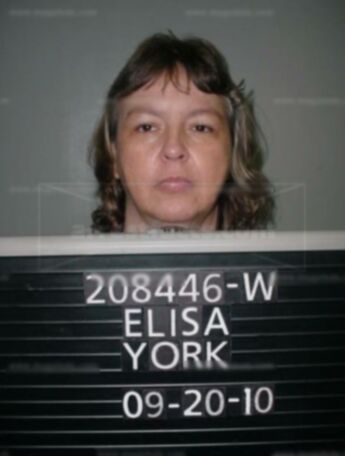 Elisa Ann York