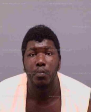Robert Lee Mitchell