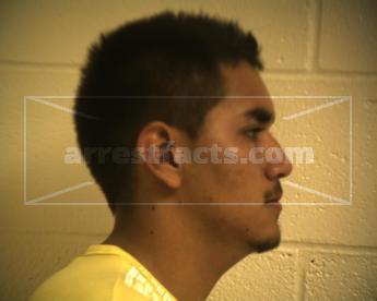 Carlos Alberto Briones Teran