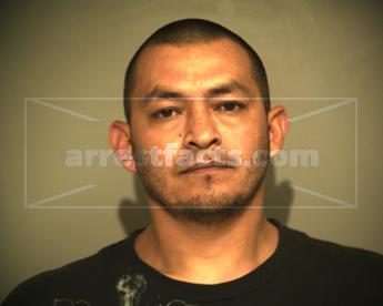 Joel Camargo Solis