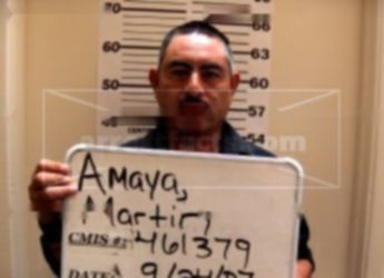 Martin Amaya