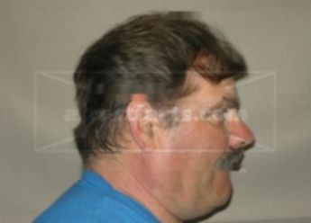 Richard L Bushman