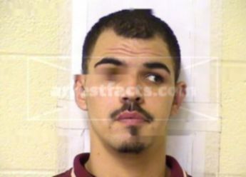Nicholas G Molina