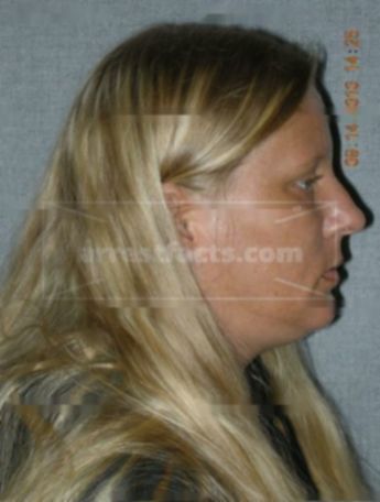 Tina M Arnett