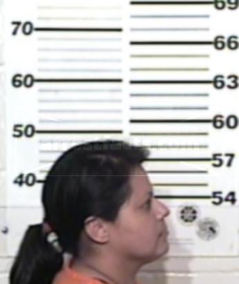 Maria Isabel Andaverde Villarreal