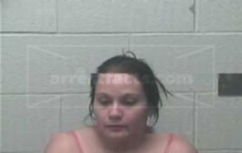 Melissa Ann Ackerman