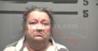 Lea Michelle Mills