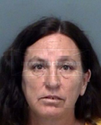 Debra Lee Halstead