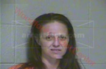 Amanda L Sanders