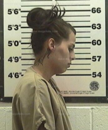 Taylor H Harvey