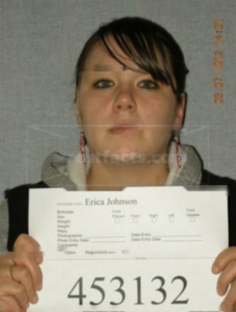 Erica L Johnson