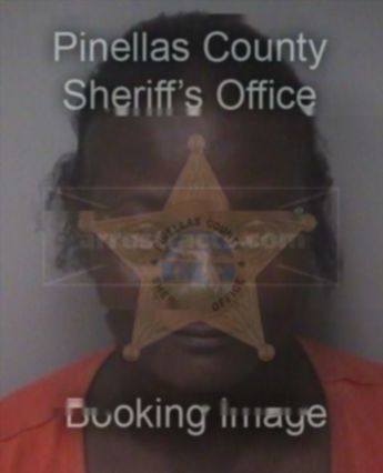 Shirlene Wilson