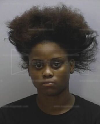 Brenda Renee Goins