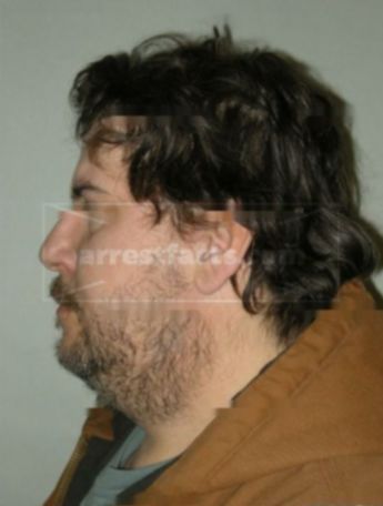 David L Bronk