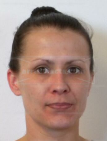 Gina M Mengo