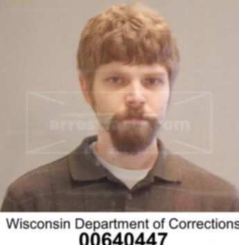 David P Pieper
