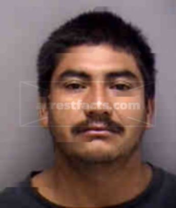 Jose Jose Luis Vergara Martinez