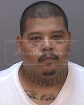 Vincent T Herrera