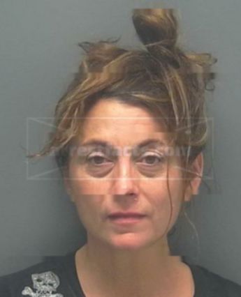 Andrea Fawn Orr-Lynch