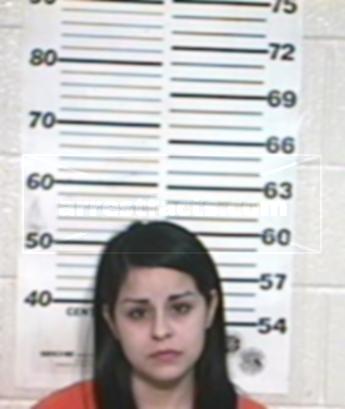 Audry Rodriguez Elizondo