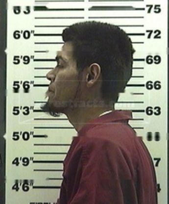Gonzalo V Villa