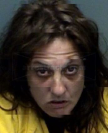 Lisa Ann Stepp