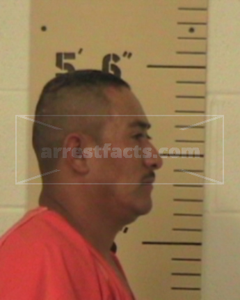 Mario Tavera-Flores