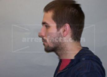 Andrew C Brogli
